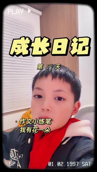 #热点#小学生作文#小练笔范文 #成长日记 #提升表达力100天挑战
如果你看到一个孤零零的小花朵,你会怎么写?