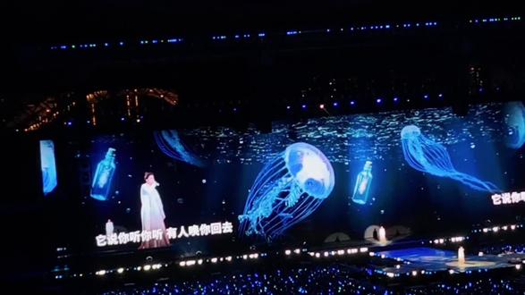 人间岁岁年年 谁敢说如烟#凤凰传奇海底 #演唱会live的意义