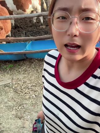 #记录我的养牛生活#养殖人#西门塔尔#牛羊驱虫