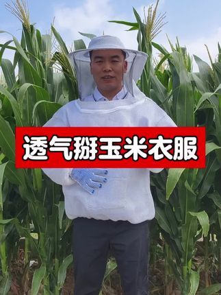 全透气掰玉米衣服#三农 #蜜蜂防护服 #掰玉米防护神器 #下地干活 #干农活衣服