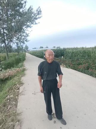 太康县王集方城遗址