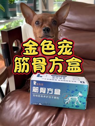 狗子的年纪越大关节就越需要保护 #金色宠 #金色宠筋骨方盒 #养宠经验分享 #养狗经验分享 #科学养宠攻略