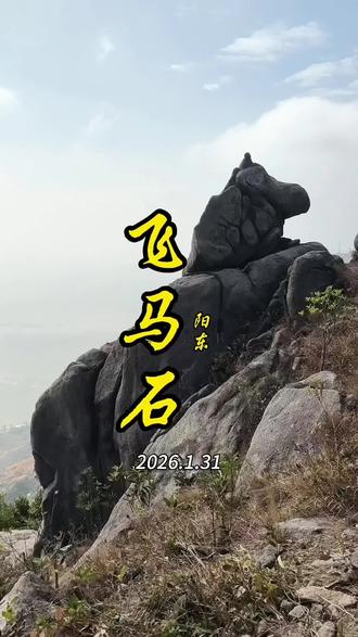 阳东飞马石,休闲风景线
#户外
