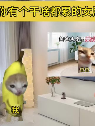 当你有个干啥都累的女朋友#猫meme日常#抽象#情侣日常#内容过于真实#细初当归黑豆