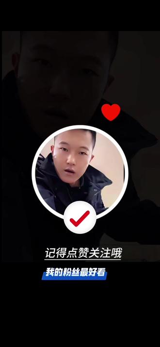 给二娃子上课🥰🥰🥰🥰🥰#实战猎犬 #狗狗 #抖音二创激励计划 #创作者扶持计划 #真实生活分享