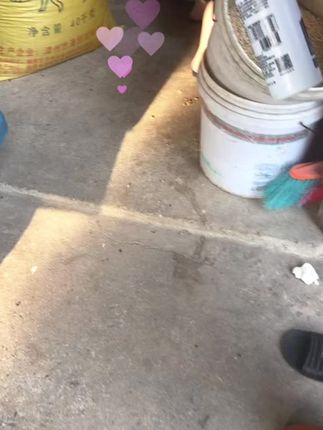家人们,这一到夏天啊,这苍蝇跟蚊子嗡嗡的,人头都大了。所以说选一款好用的杀虫剂非常重要,我都是用的金奶奶家这个这个用着安全还放心,室内室外都可以用,都在轻轻一喷,二十天持久防护,即使开了窗户也没有问题。现在平时常见的这蚊虫跟跳蚤都可以预防,这一瓶六百毫升,管用好长时间,现在是二十五块八,到手四瓶,另外再配两个喷头,非常划算。#鸡奶奶杀虫剂喷雾剂 #好物推荐🔥 #蚊子克星 #养殖户必备 #虫害消杀