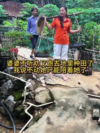 婆婆的手受伤了,前面答应我们说不种田了, 后脚她又跑去田里犁田了,真的担心她的手扛不了,她说怕现在家里这点稻谷怕撑不到过冬,婆婆在农村种田大半辈子,她在家里的唯一收入就是靠卖点稻谷换钱用, 叫她放弃那些田地她是十万个舍不得,我知道劝不动她我只能陪着她一起干了, 趁着在家能帮她分担一点是一点。#记录生活#单亲妈妈#农村生活#婆媳关系