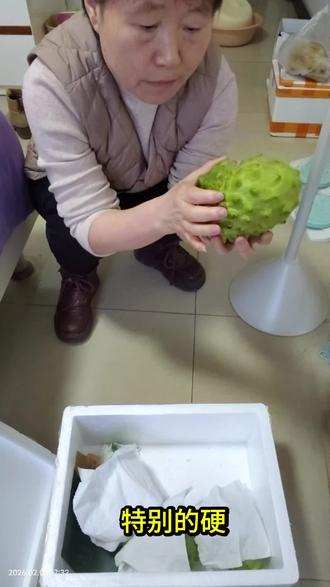 买回来的释迦果千万不要生切哦,不然就浪费了,一定要放软再吃,我分享了一个实用小技巧,你们都是怎么催熟的,评论区聊一聊#释迦果 #释迦果催熟 #释迦果催熟小技巧