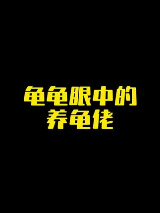 龟龟眼中的养龟佬#养龟日常 #养龟人 #养龟