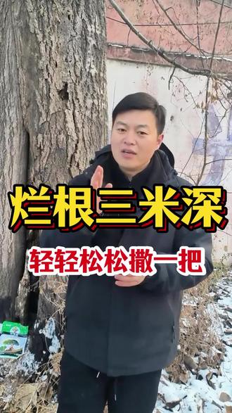 房前屋后、道路两旁、空地厂房这种碍事的大树,野竹子的,用这个方法撒一撒一到三个月当柴烧 #除树烂根 #开荒 #开荒种地