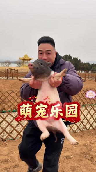 新年快乐
初一赶快带着家人和宝宝去爱你美学农场
看萌宠套圈探宝打卡拍照吧
#旅行推荐官 #羊驼 #农场 #山羊 #动物