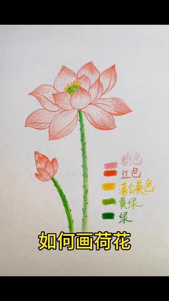 如何画荷花#自学画画打卡 #原来画画如此简单#跟着抖音学画画 #彩铅