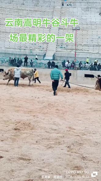 甸沙牛王发挥得也是太得劲了,跟太白金星这种大佬PK虽败犹荣