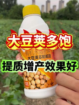 #大豆种植#大豆高产#大豆