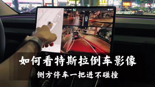 新手如何看特斯拉倒车影像快速进行侧方停车 避免碰撞~#侧方停车技巧 #特斯拉model3 #特斯拉modely