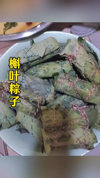 野生槲叶 粽子叶 #真实生活分享计划 #粽叶#槲叶 #粽子 #端午节 @抖音小助手