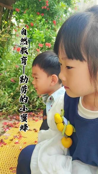 蜜蜂🐝主题课程 把孩子从灯光下带到阳光下#让童年长在自然里 #用心呵护每一个童年 #给孩子一个自然的童年 #把童年种在阳光里 #邳州最好的幼儿园