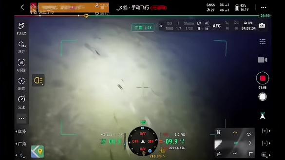 土萝卜秀 #西北刀客土萝卜#护农猎犬#蒙细@如意@ @西北刀客-公益护农 @西北刀客-机油手 @西北刀客-吴队