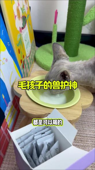 天气炎热 猫咪不爱喝水可以试试这个兽护神的羊奶粉 既补水又营养#新手养猫 #萌宠好物 #萌宠养猫日记🐱 #猫咪种草好物 #小猫喂养指南