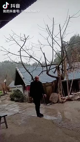 2006年,祝大家新年快乐!