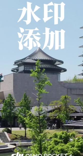 一个视频告诉你,pocket4拍摄完怎么添加水印#大疆Pocket4#djimimo#大疆