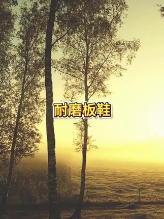 啄木鸟男款夏鞋流行款男鞋小白鞋上班男鞋百搭旅游鞋耐磨板鞋皮鞋