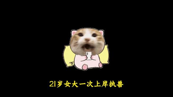 21岁女大一次上岸执兽,备考黑暗偏方
#执业兽医 #执业兽医资格证 #执业兽医资格考试 #执业兽医备考 #陈院讲执兽