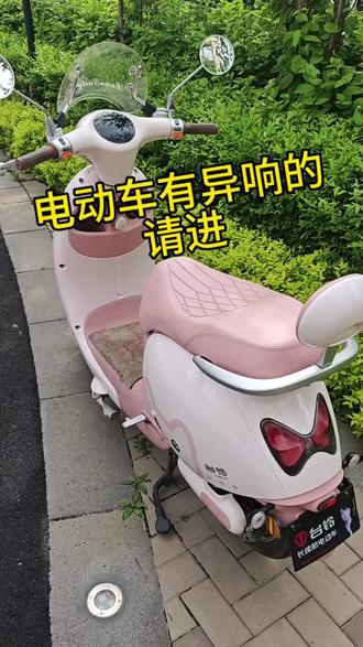 电动车异响解决方案 #台铃电动车 #露营美食 #野餐 #露营车尾箱