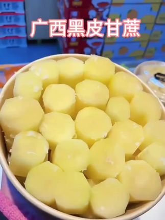 正宗广西黑皮甘蔗,今年头茬甘蔗是应季水果,口感新鲜清甜,汁水充沛但不过分甜腻。#甘蔗#黑皮甘蔗#广西黑皮甘蔗#原来甘蔗还可以烤着吃#甘蔗汁