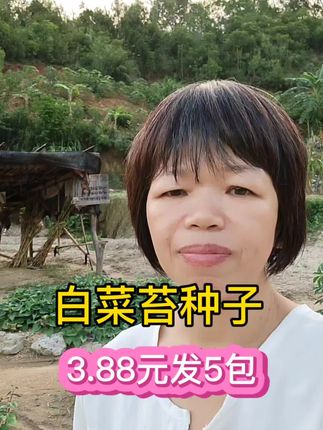 3.88元发5包白菜苔种子#白菜苔#菜种子#在家种菜#三农