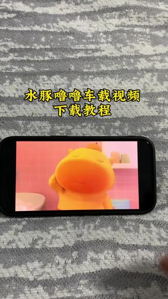 《感受一下》水豚噜噜车载视频安装教程#水豚噜噜 #水豚噜噜车载视频 #水豚噜噜玩偶 #视频教程 #水豚