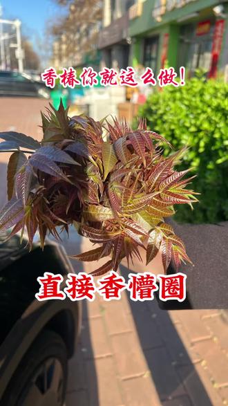 春风吹,香椿香,裹上面糊炸一炸,酥香掉渣,鲜掉眉毛! 每年就馋这口炸香椿,金黄酥脆,带着独有的清鲜,一口尝尽整个春天。#美食 #美食教程 #抖音美食推荐官 #香椿 #香椿芽