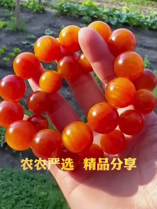 #琥珀木北沉香 #琥珀木手串 #琥珀木原生态 #农农严选 #这个秋天被琥珀系治愈了 @DOU+小助手