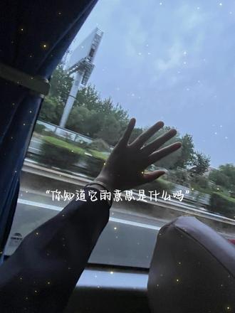 我听过最温柔的一句话大概就是:wyzdz 你知道它的意思是什么吗?#答案不在终点在路上