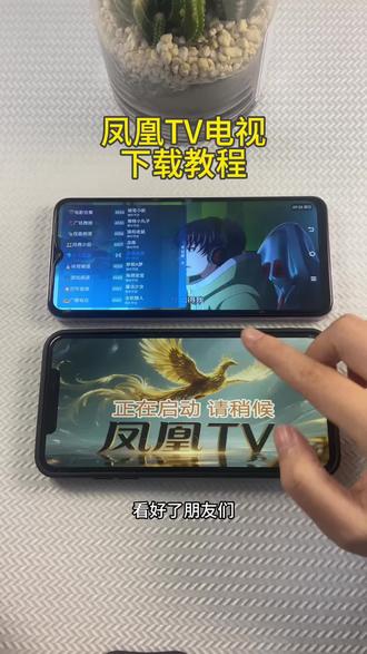 《初初资源》凤凰TV电视苹果安卓下载教程#凤凰TV #电视软件 #电视软件安装 #免费电视软件