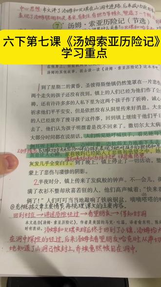 六下第七课《汤姆索亚历险记》学习重点。