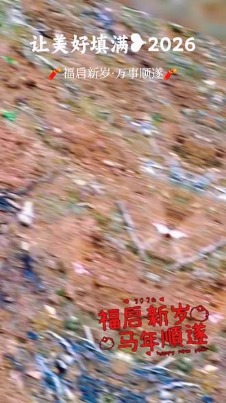 新年快乐(´・ω・ʃƪ)🧨