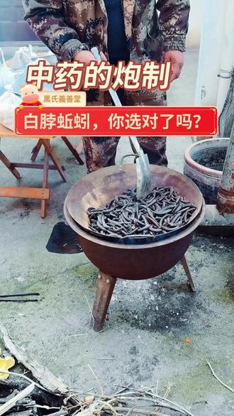 地龙能引诸药直达病所, 解时行热毒,除风湿,痰结,利小便,疗黄疸,除脚气,跌扑,祛虫瘕,破血结。
蚯蚓粪泻热解毒,赤白久痢,敷小儿阴囊热肿,肿腮丹毒,流鼻血。 #中药材 #传承中药从守好药材开始 #非物质文化遗产