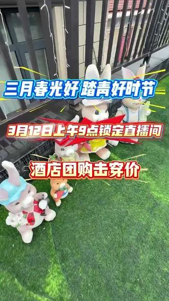 三月春光好,踏青好时节。3月12日上午9点锁定直播间,酒店团购击穿价。点击主页可预约直播。#蓟州 #蓟州旅游 #蓟州民宿