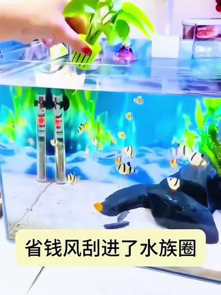 【宠大条】家用鱼缸水草定植篮造景装饰固根器水草泥沉底水草固定器#鱼缸水草固定器#水草固定器