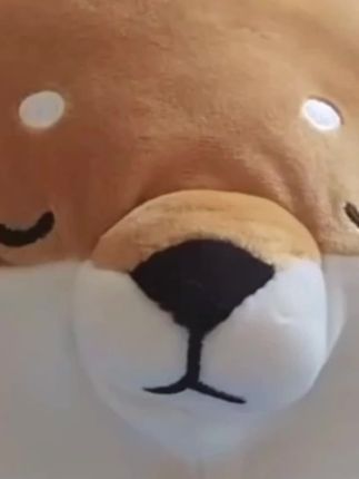 名创优品MINISO公仔柴犬趴姿软萌毛绒公仔超软抱枕靠枕#名创优品好物推荐 #毛绒公仔抱枕#抱枕靠枕#柴犬抱枕 #趴姿公仔
