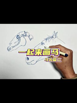 【 一起来画马|头部画法 】马头的形状把握不准,我们试试从骨骼开始。#绘画的乐趣 #绘画教程 #画马 #如何画马 #绘画过程