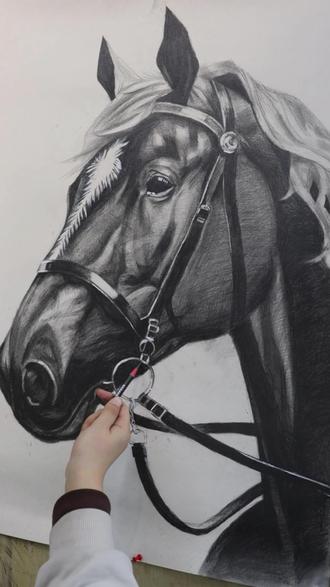 学生新作,马年画马🐎!从线条过度到光影细腻,这匹黑马的蜕变,就是坚持努力的最好证明~#绘画 #马 #手绘 #素描 #素描动物