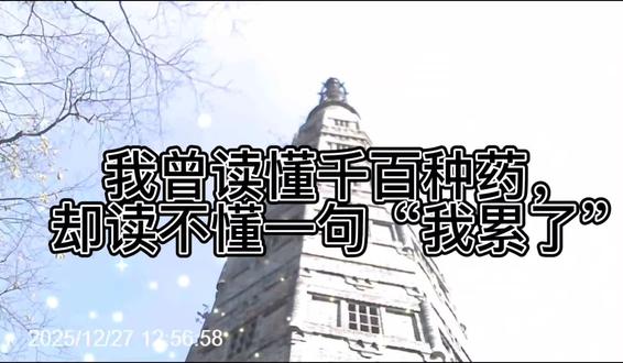 这是我用声音写下的一封信。关于一位药师妈妈的失去、觉醒与回归。没有画面打扰,希望你能安静地听一会儿。(主页置顶视频是我的完整故事,期待与你相遇。)#情感心理#事业#育儿#身心健康#家庭