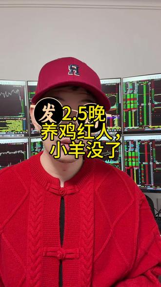 2.5 养基红人小羊没了#财经 #泛财经 #爱理财的小羊 #基金