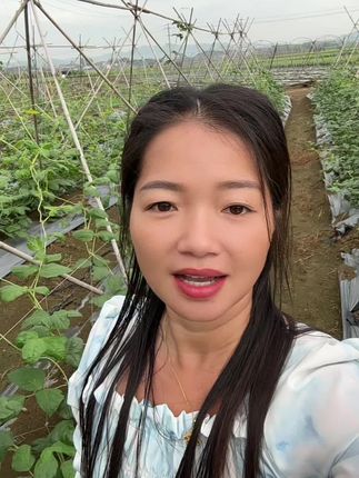 秋后种植必备大爆根。#农村生活