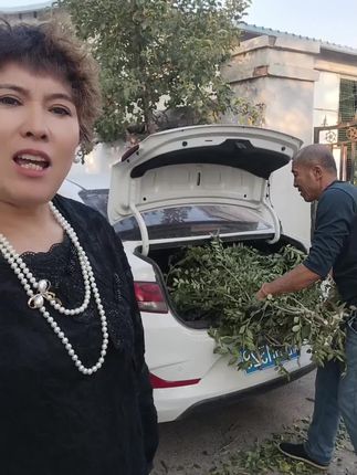 电动洗车喷壶,新疆包邮