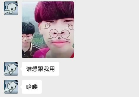 你药剂吧干啥吧@鼠鼠烤盘饭
#东风吹战古雷 #放虎出山 #此竹是我栽 #山高自有客行路 #聊天记录