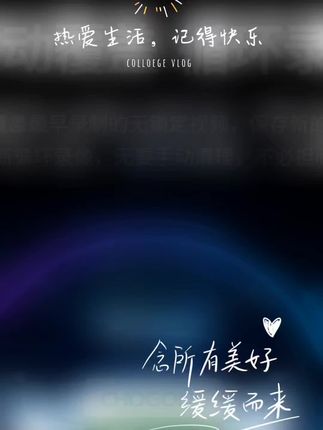 CHOGONE海鸥行车记录仪内存卡存储卡C10TF卡格式海鸥内存卡高清