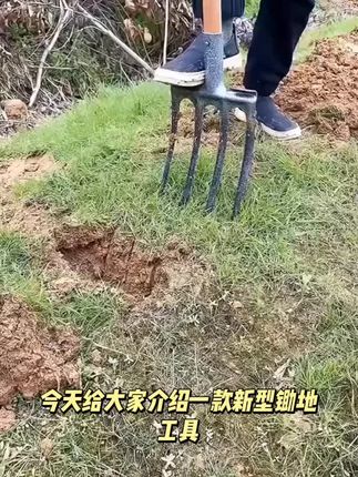 新款四齿钢叉,种地翻土钢叉